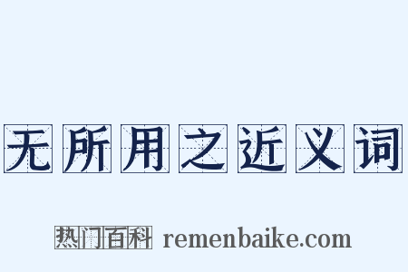 无所用之近义词是什么意思的图片